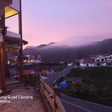 Bromo Deddy Homestay Eksteriør bilde