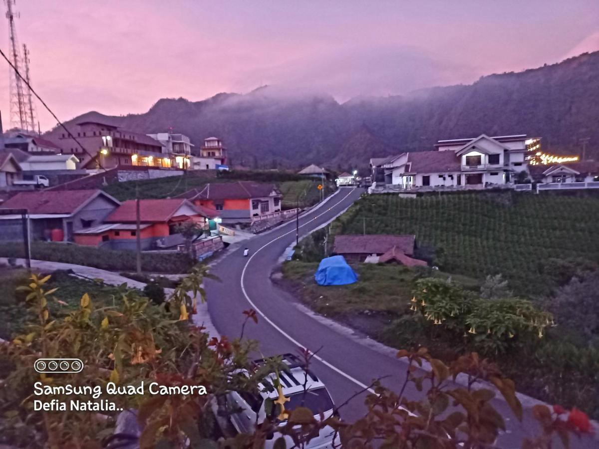 Bromo Deddy Homestay Eksteriør bilde