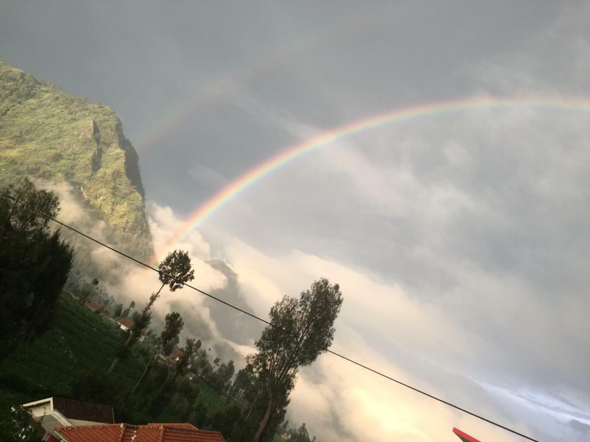 Bromo Deddy Homestay Eksteriør bilde