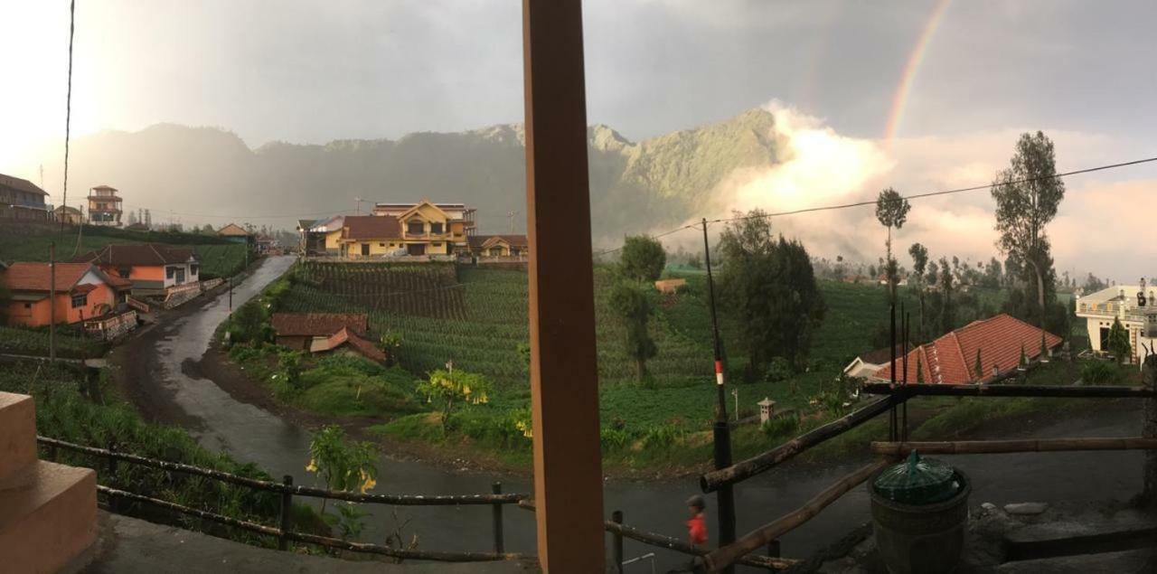 Bromo Deddy Homestay Eksteriør bilde
